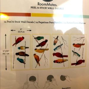 Peel and stick wall decals - bird decals. Removable decals from RoomMates.